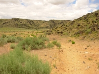 Petroglyph National Monument